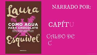 COMO AGUA PARA CHOCOLATEAUDIOLIBRO CAPÍTULO 7 CALDO DE COLITA DE RES [upl. by Anialam]