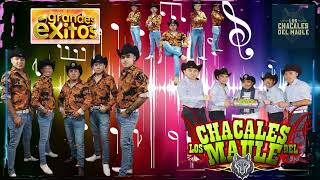 Los Chacales del Maule Exitos Mix 2023  Cumbias Y Rancheras Mix 2023 [upl. by Leake]