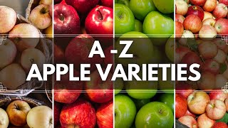 A TO Z Apple varieties  Different types of apple variety [upl. by Breh]