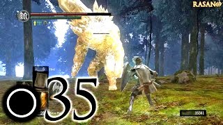 Dark Souls PC part 35 4th Fire Keeper Soul and rescuing Sieglinde [upl. by Kelwen]