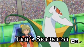 Top 9 Moves of Trips Serperior [upl. by Helbonnah]