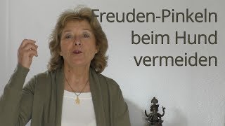 FreudenPinkeln vor Aufregung bei Welpen und Hunden erfolgreich beenden [upl. by Lamdin]