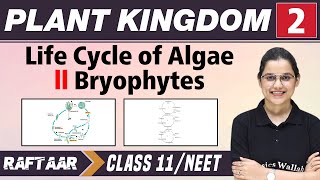 Plant and Kingdom 02  Life Cycle of Algae  Bryophytes  Class 11NEET  RAFTAAR [upl. by Johnson]