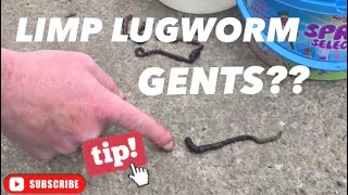 LIMP LUGWORM GENTSTOP TIP FOR LIVENING YOU’RE LUGBASSMANS BOUNTY BITES SERIES [upl. by Anitsirt]