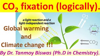 Carbon dioxide CO2 fixation logically by Dr Tanmoy Biswas Chemistry  The Mystery of Molecules [upl. by Maddox]