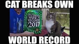 CAT BREAKS OWN WORLD RECORD [upl. by Wallas70]