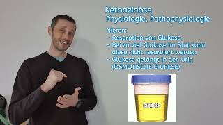 Die diabetische Ketoazidose [upl. by Mosora]