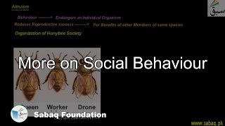 More on Social Behaviors Biology Lecture  Sabaqpk [upl. by Hodges638]