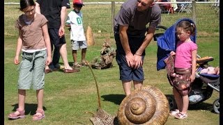 Around the show at Potfest in the Park  a ceramic festival in Cumbria [upl. by Tutt]