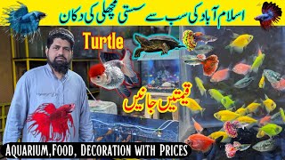 Fish Aquarium Shop Aquarium Fish Price in Pakistan  Fishes  Fish tank  Fish food  Gold fish [upl. by Eirhtug590]