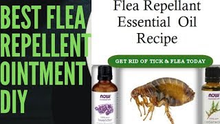 NATURAL FLEA amp TICK REPELLENT DIY TREATMENT FOR DOGS amp CATS  HOW TO GET RID OF FLEAS IN PETS [upl. by Aisyram]