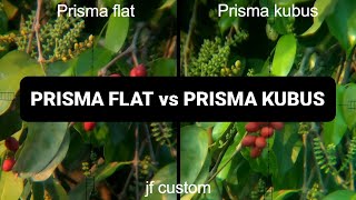 Perbedaan prisma flat vs prisma kubus [upl. by Llij]