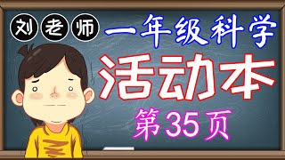 一年级科学活动本答案第35页🍎🍎🍎KSSR SEMAKAN一年级科学活动本答案🍉🍉🍉第6课植物🚀🚀🚀平行脉 网状脉 木质茎 草质茎 须根 主根🌈🌈🌈一年级科学植物 一年级科学活动本 [upl. by Anivas571]