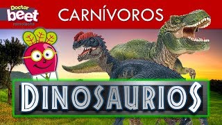 🦕 DINOSAURIOS CARNIVOROS PARA NIÑOS EN ESPAÑOL Top Juguetes [upl. by Eimmis]