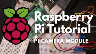 How to Take Photos and Videos with Raspberry Pi Camera Module [upl. by Burta]