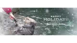 Happy Holidays From The Vancouver Aquarium [upl. by Emelyne]