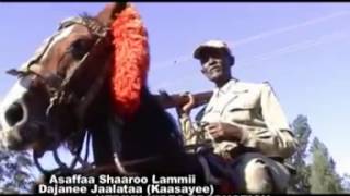 Dejene Jalata  Assaffaa Shaaroo lammii Oromo Music [upl. by Kasper]