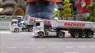 Mercedes Arocs amp MAN quotDachserquot  187 RC Mikromodell [upl. by Mauri]