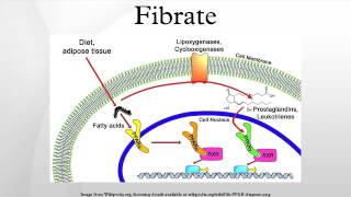 Fibrate [upl. by Esten392]