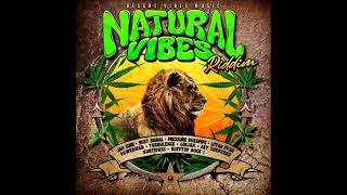 Natural Vibes Riddim Mix Full Feat Busy Signal Jah Cure Ginjah Lutan Fyah Pressure Feb 2024 [upl. by Ilrac]