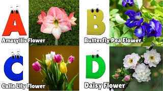 Flowers ABC Song for Kids  Phonics for Kids  English Alphabet Letters [upl. by Storer]