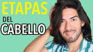 COMO TENER EL CABELLO LARGO DIFERENTES ETAPAS DEL CABELLO  JM Montaño [upl. by Eiramnaej]