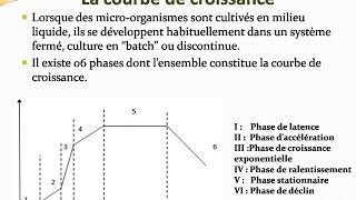 Cours Croissance bactérienne Biologie Monde [upl. by Marylynne]