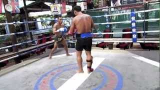 Muay Thai Legend Saenchai Sor Kingstar Training [upl. by Alilak776]