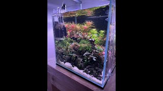 25cm Cube Nano Tank Progress [upl. by Stanfield433]