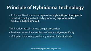 Monoclonal Antibodies mAbs  Production Procedure Selection amp Applications [upl. by Ytinav]