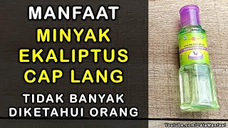 Manfaat Minyak Ekaliptus Cap Lang Yang Tidak Banyak Diketahui Orang [upl. by Ennagroeg293]