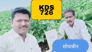 kds726 सोयाबीन सोयाबीन kds726 sandipkarande karyon [upl. by Akemor217]