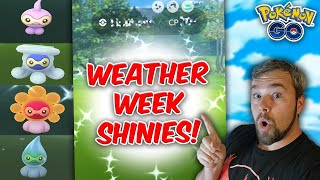 I said I wouldnt do THIS But Catching Shinies in the Weather Week Event Pokémon GO [upl. by Ahsiekim]