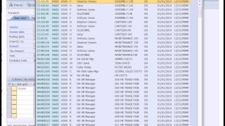 SAP Financial Accounting [upl. by Vowel]