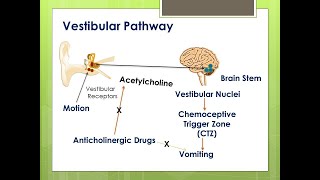 Anticholinergic DrugsPart 1ParasympatholyticsAtropineDrugs acting on ANSPharmacology [upl. by Schuyler]