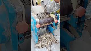 Sunflower seed shell separator Good tools and machinery can increase work efficiency [upl. by Nnylharas]