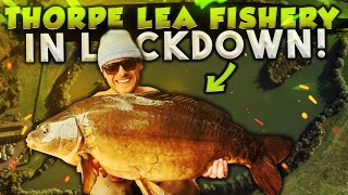 CARP FISHING The Infamous Thorpe Lea Fishery BIG HIT with Ben Parker [upl. by Yrrot657]