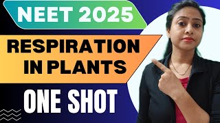 Respiration in Plants  One Shot  Full Chapter  Class 11  NEET 2025  neet tanujabiostudies [upl. by Nalaf918]