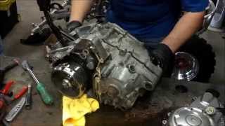 Cuervo Racing Raptor 700 Motor Tear Down [upl. by Adnert]