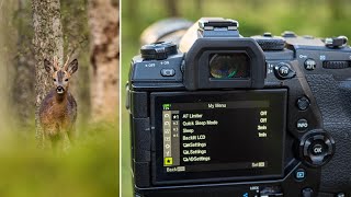 OM System EM1X Settings  5 Tips for Wildlife Photography Olympus [upl. by Mommy613]