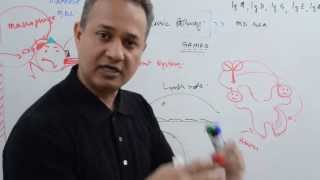 immunology lecture 12 part 4 Immunoglobulins [upl. by Akeit351]