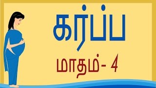 Pregnancy  Tamil  Month 4  கர்ப்பம் மாதம் 4 [upl. by Sillig717]