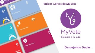 MyVete  Crear Conceptos de Caja e Ingresar dinero a caja [upl. by Ahseele]