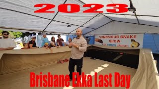 Australia Venomous Snake Show EKKA 2023 Last Day [upl. by Sion]