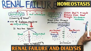 Hemodialysis and Peritoneal dialysis  Kidney Transplant  Class 12 Biology [upl. by Alaet]