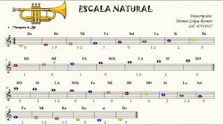 Escala Natural para trompeta ubicación de notas y posición de dedos [upl. by Llehsem]