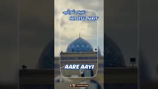 11vi Sharif naat status  Faizane Auliya  coomingsoon 11vishareef shorts [upl. by Ethbinium]