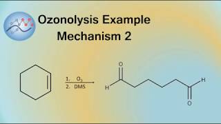 Ozonolysis Example Mechanism 2  Organic Chemistry [upl. by Ereynihc]