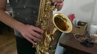 Yanagisawa A9930 Alto Saxophone Demo [upl. by Fish]