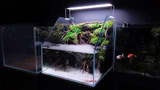 MAKING A WATERFALL PALUDARIUM  AQUATERRARIUM FOR MY AXOLOTL  MD FISH TANKS [upl. by Boar]